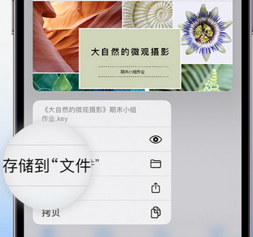 兰陵apple维修中心分享iPhone文件应用中存储和找到下载文件