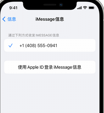 兰陵apple维修iPhone上无法正常发送iMessage信息 