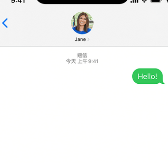 兰陵apple维修iPhone上无法正常发送iMessage信息