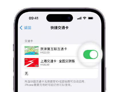 兰陵apple维修点分享iPhone上更换Apple Pay快捷交通卡手绘卡面 