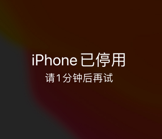 兰陵苹果手机维修分享:iPhone 显示“不可用”或“已停用”怎么办？还能保留数据吗？ 