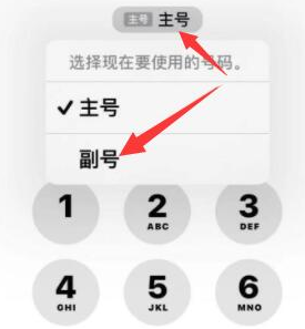 兰陵苹果14维修店分享iPhone 14 Pro Max使用副卡打电话的方法 