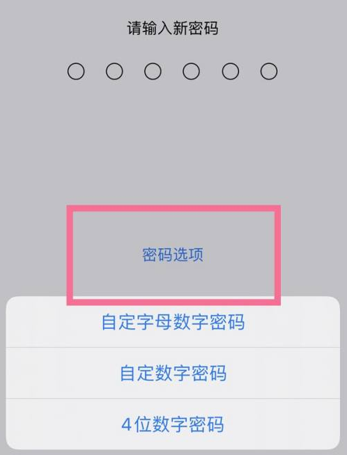 兰陵苹果14维修分享iPhone 14plus设置密码的方法 