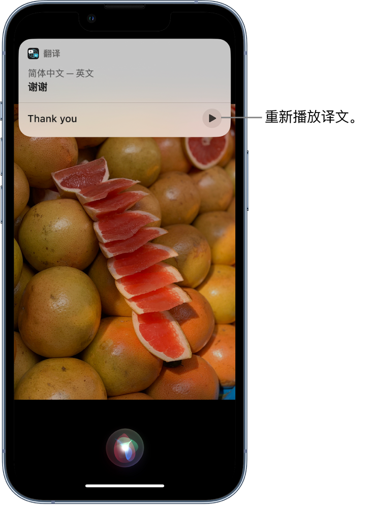 兰陵苹果14维修分享 iPhone 14 机型中使用 Siri：了解 Siri 能帮你做什么 