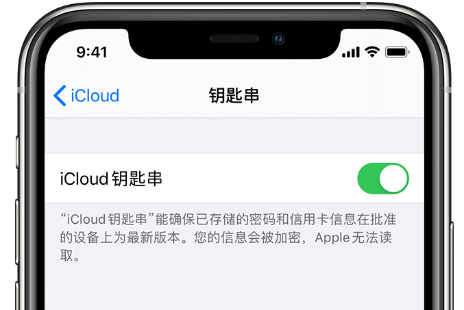 兰陵苹果手机维修分享在 iPhone 上开启 iCloud 钥匙串之后会储存哪些信息 