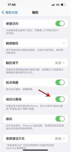 兰陵苹果手机维修分享iPhone手机如何设置摇一摇删除文字 