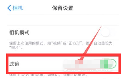 兰陵苹果13维修分享iPhone13拍照有绿点是怎么回事 