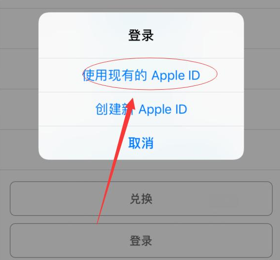 兰陵苹果手机维修分享两台iPhone设备可以同时登录一个Apple ID吗 