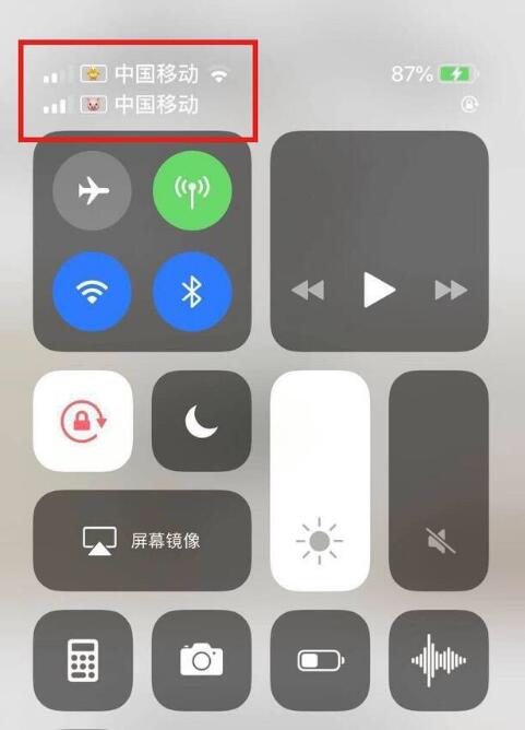 兰陵苹果手机维修分享为 iPhone 12 双卡设置标签 