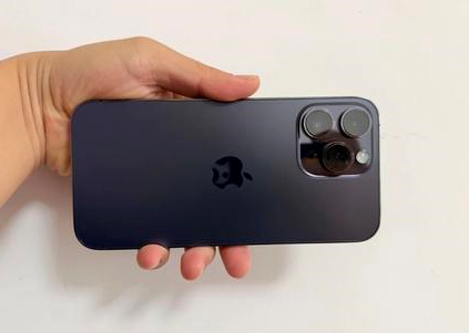 兰陵苹果维修点分享iPhone 14 Pro Max黑屏少见故障盘点 